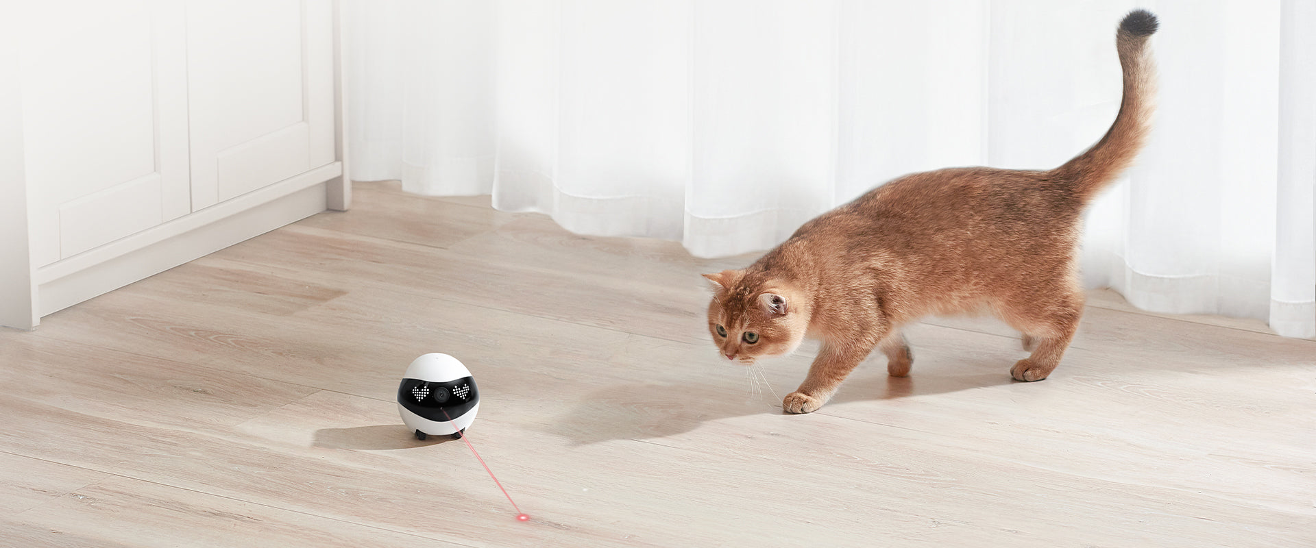 EBO Air 2 companion robot: Laser Pet Teasing