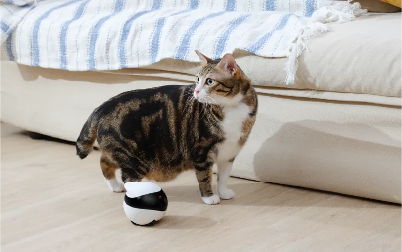 EBO SE is equipped with advanced motion detection capabilities.