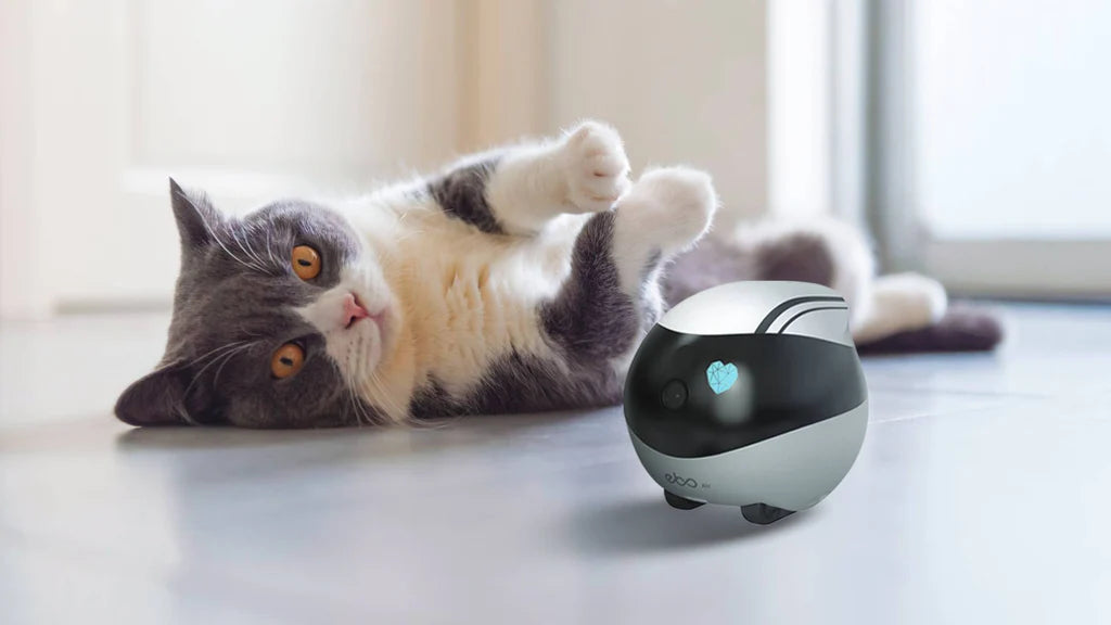 EBO Air moving pet camera