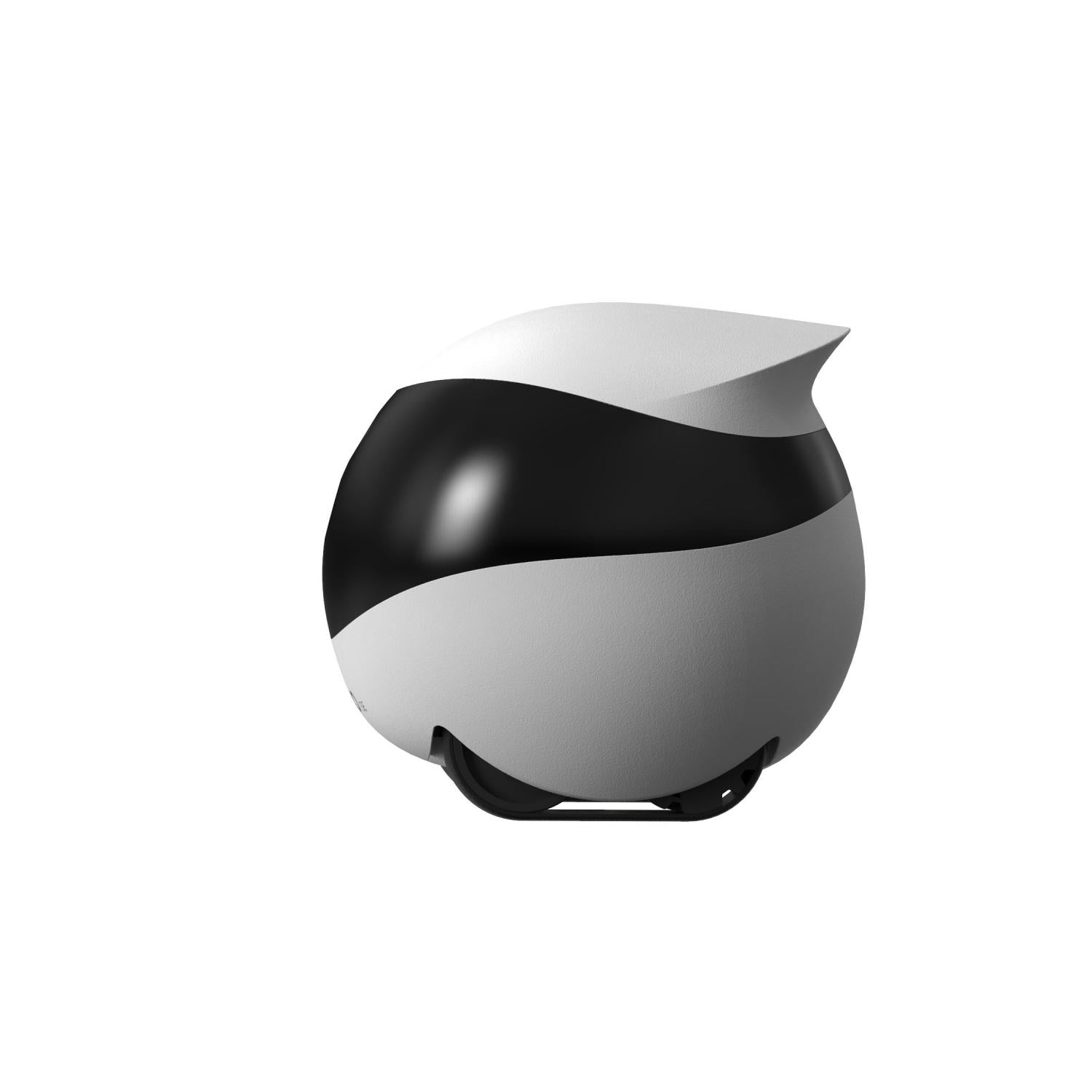 [Pre Order, ETA: 25 Oct] EBO SE Smart Home Moving Robot