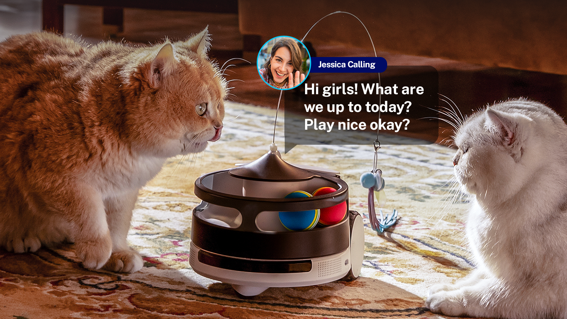 Rola PetPal Interactive Toys