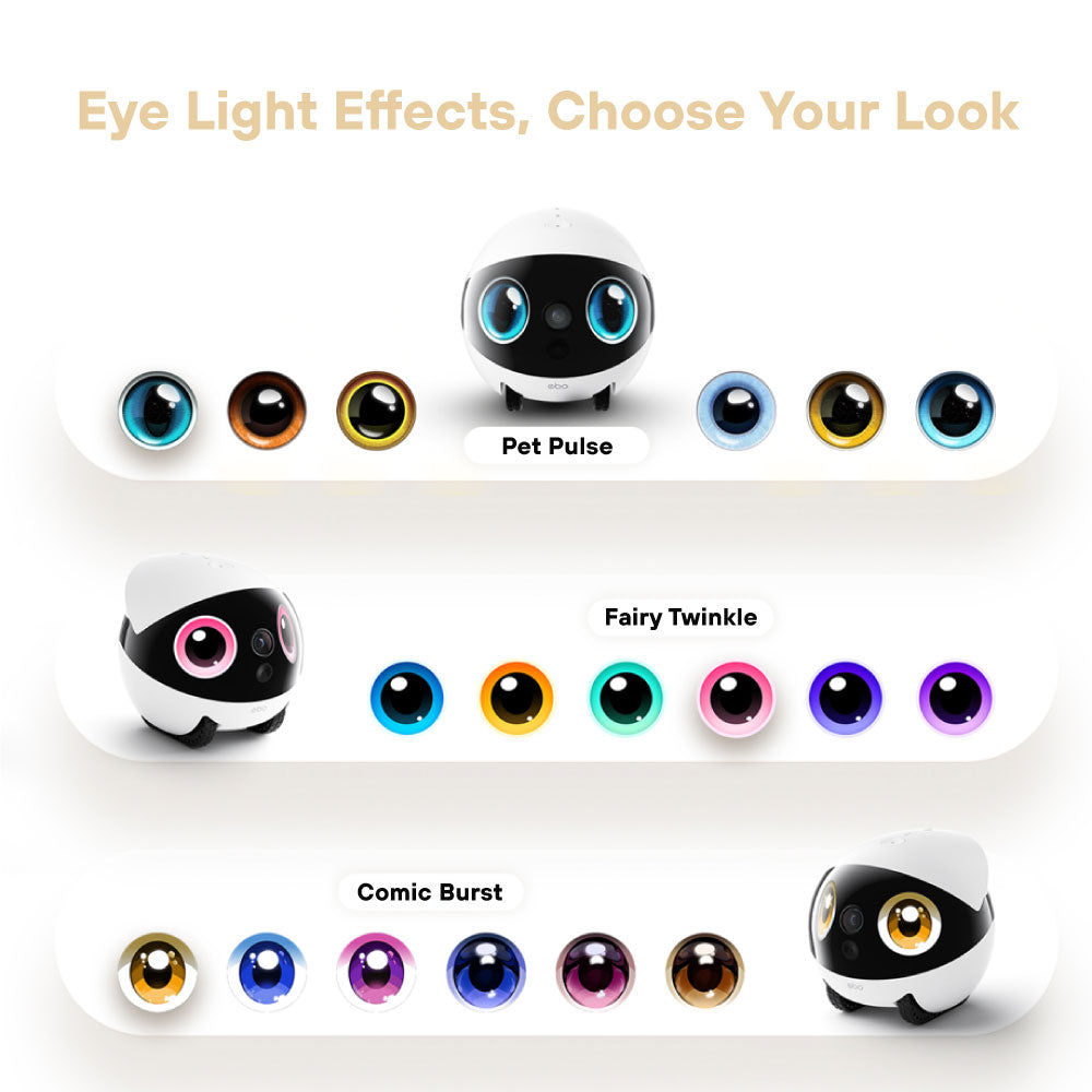 [Pre-Order: ETA 10 Feb] Enabot EBO Air 2S