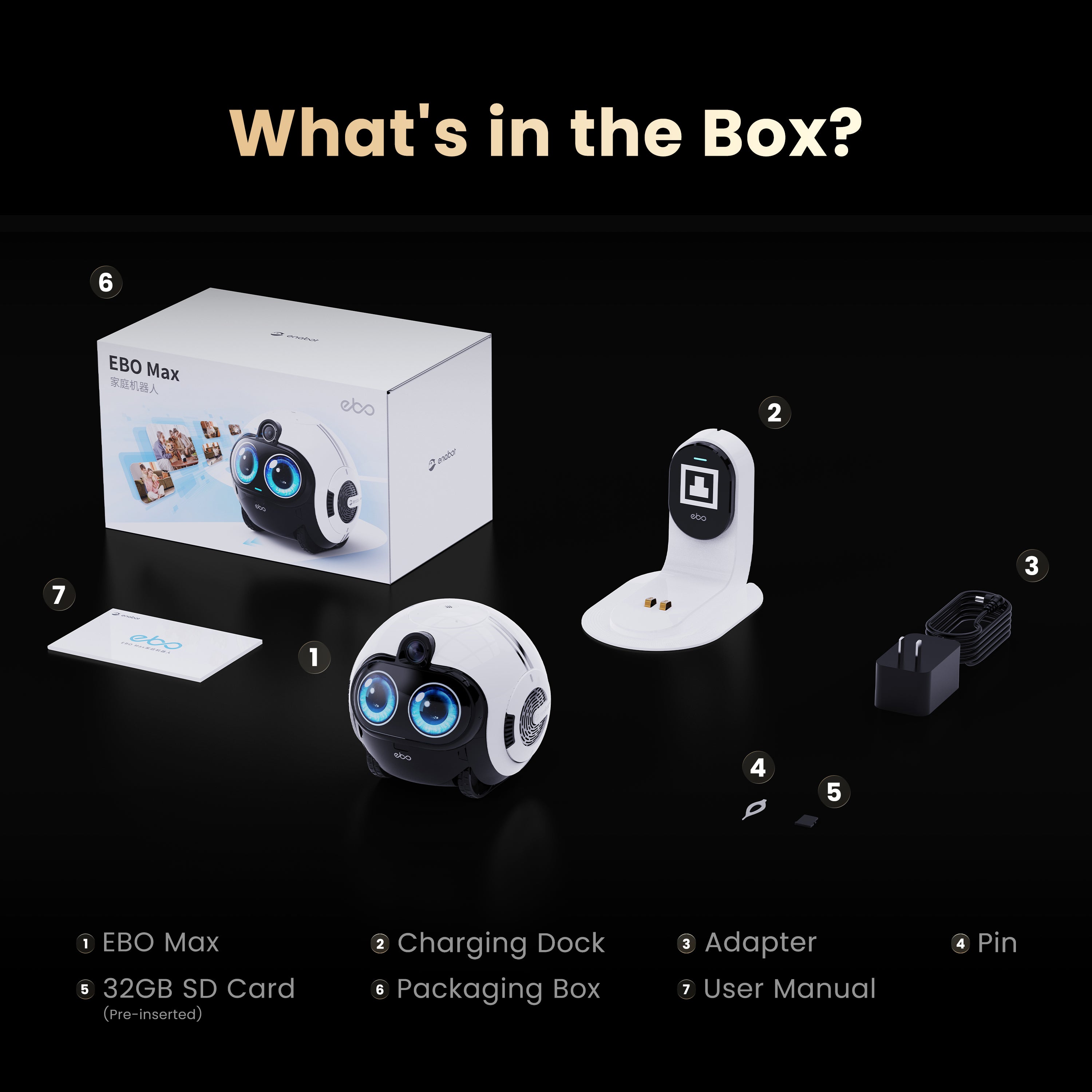 [Pre-Order, ETA: End of May] EBO Max
