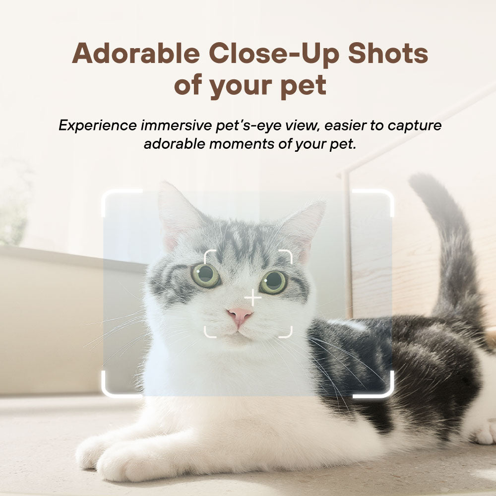 [Pre Order, ETA: 25 Oct] EBO SE Smart Home Moving Robot