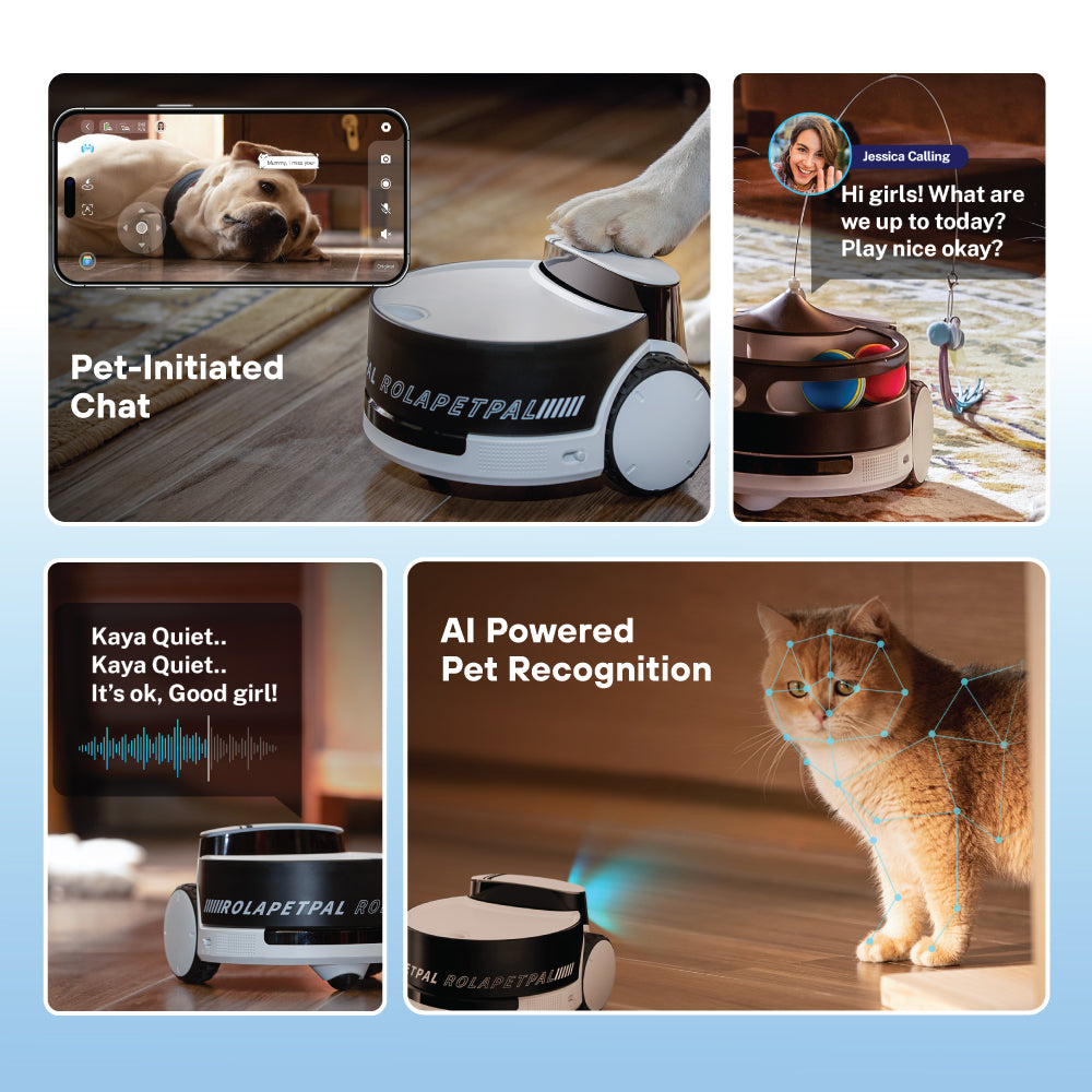 Rola PetPal - Robot for Cats and Dogs