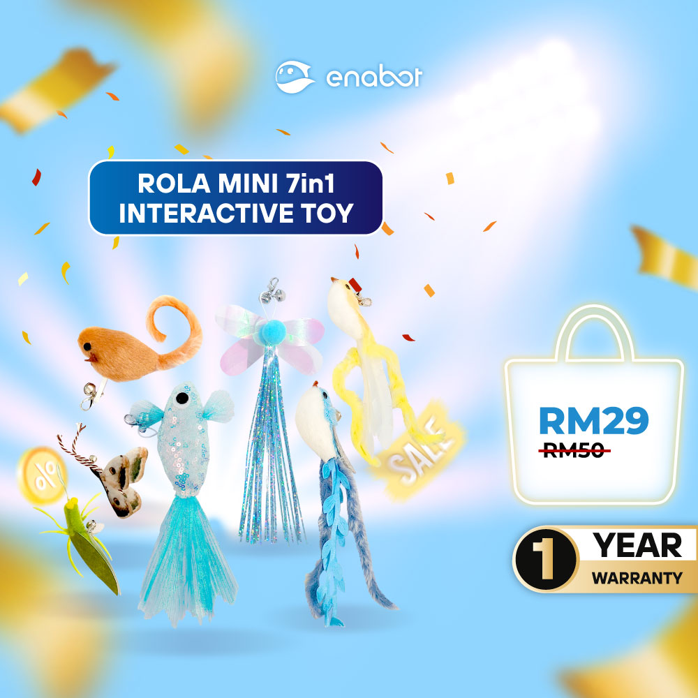 Enabot ROLA Mini Cat Teaser Set
