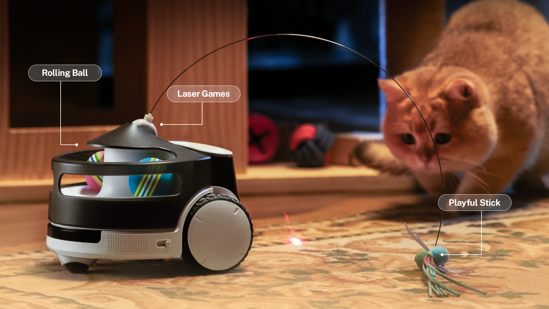 Rola PetPal Interactive Toys