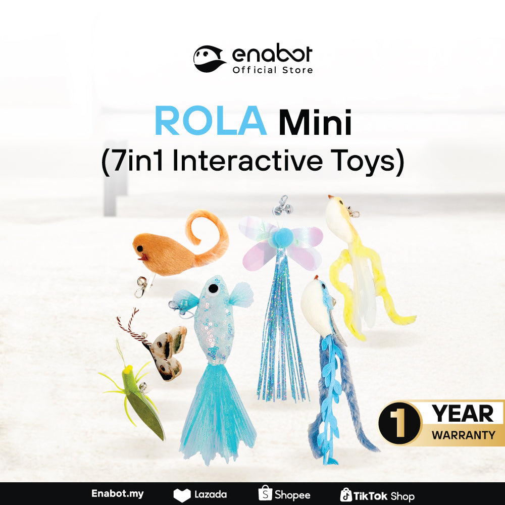 Enabot ROLA Mini Cat Teaser Set