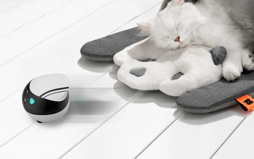 EBO Air is equipped with ultra quite Brushless motor