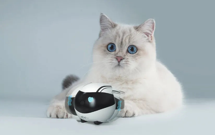 EBO Air's unique tumbler design ensures stability and prevents it from being knocked over by your pets.