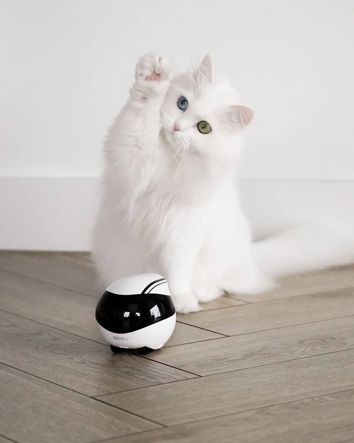 EBO Air with feather