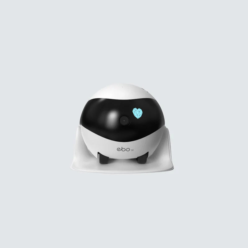EBO Air moving pet camera