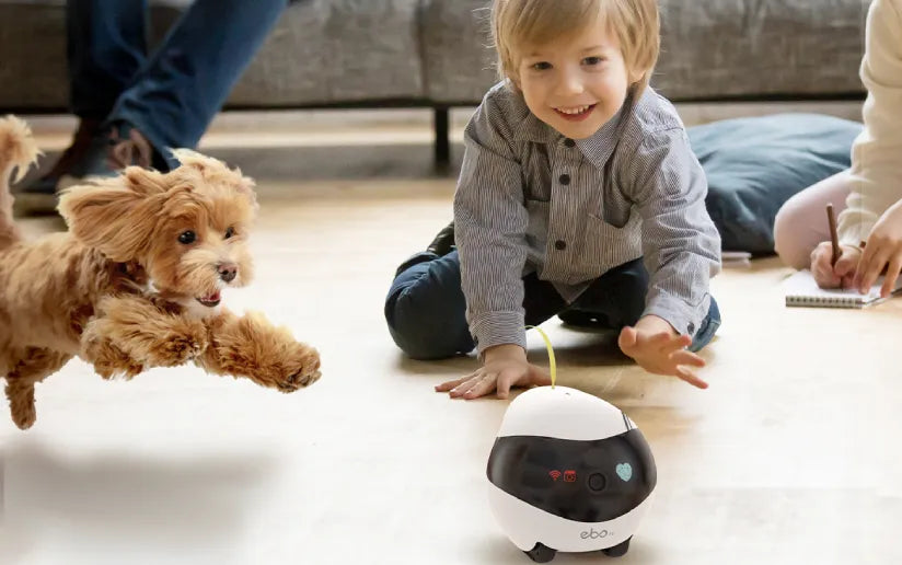 DIY Feathers make EBO Air more adorable, making it even more delightful for your pets