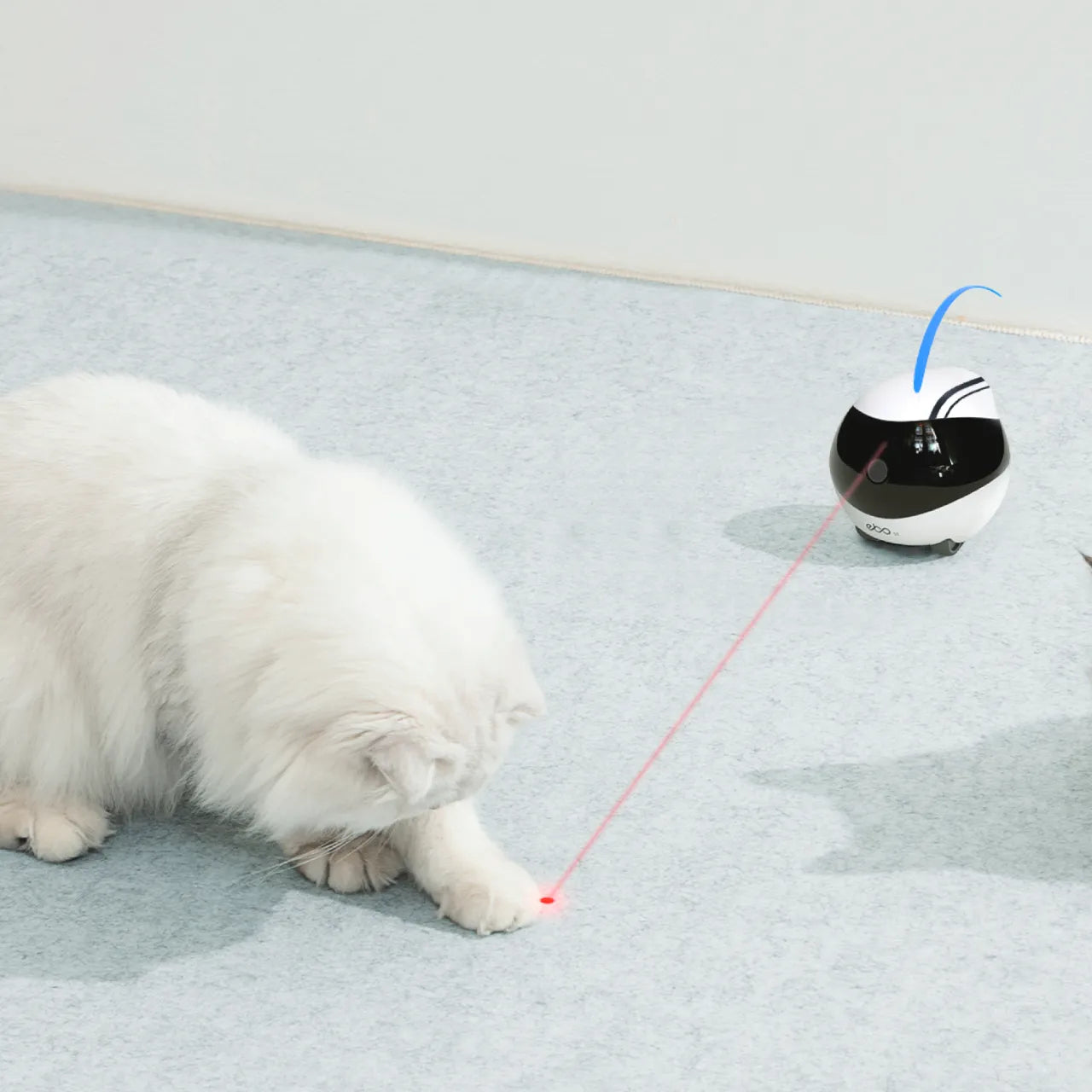 EBO Air pet robot camera is AI adaptive and auto-trigger, it contains camera, position, micro-phone sensor, supports 24/7 communication.