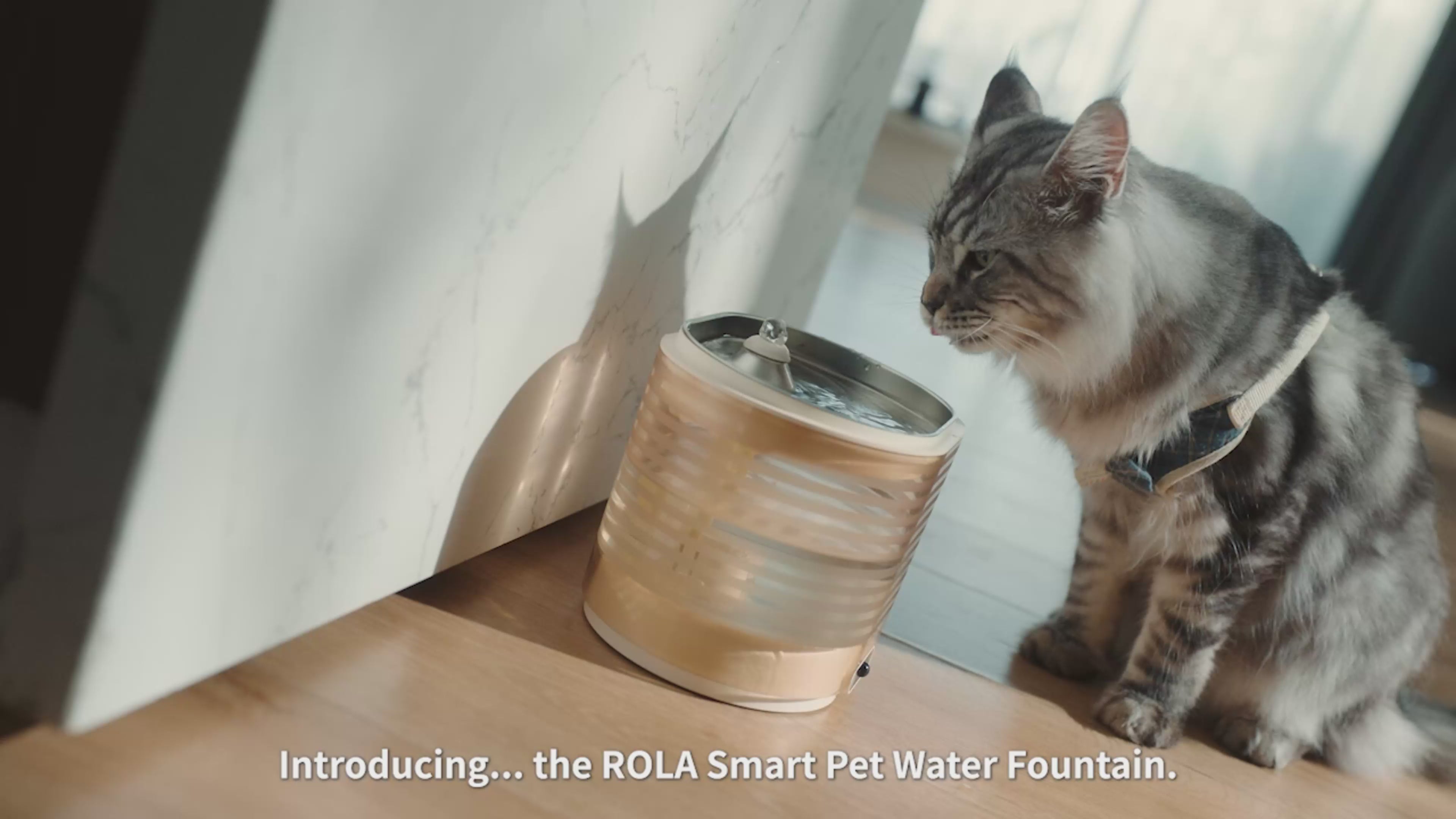 Enabot ROLA Smart Water Fountain (Plug-In/Cordless)